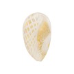 Side View Zanfirico Venetian Heart 